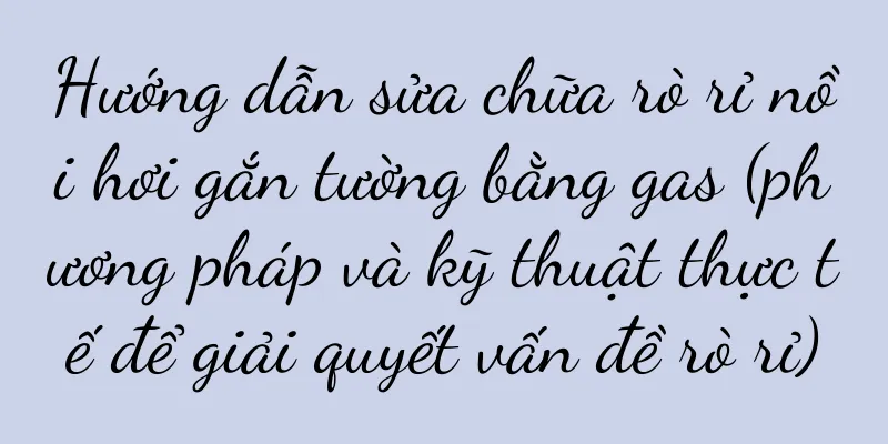 Hướng dẫn sửa chữa rò rỉ nồi hơi gắn tường bằng gas (phương pháp và kỹ thuật thực tế để giải quyết vấn đề rò rỉ)