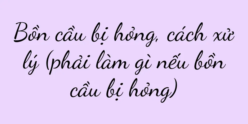 Bồn cầu bị hỏng, cách xử lý (phải làm gì nếu bồn cầu bị hỏng)