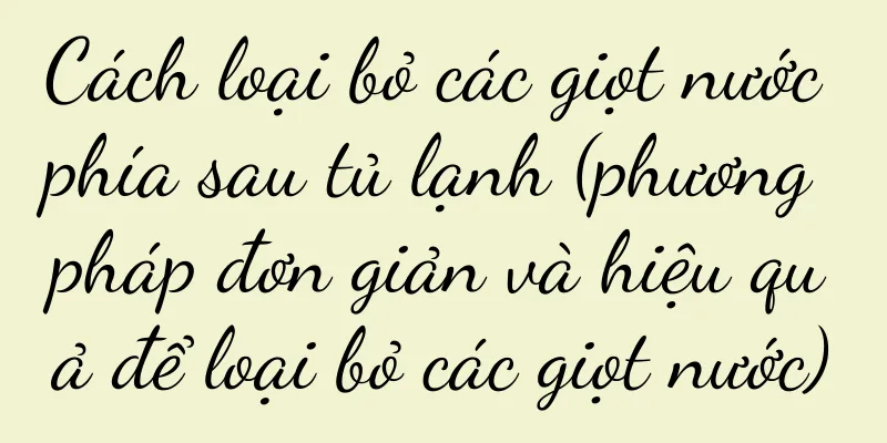 Cách loại bỏ các giọt nước phía sau tủ lạnh (phương pháp đơn giản và hiệu quả để loại bỏ các giọt nước)