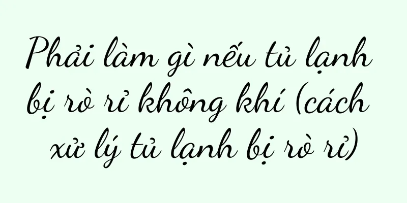 Phải làm gì nếu tủ lạnh bị rò rỉ không khí (cách xử lý tủ lạnh bị rò rỉ)