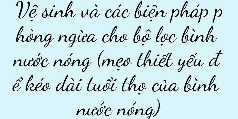 Vệ sinh và các biện pháp phòng ngừa cho bộ lọc bình nước nóng (mẹo thiết yếu để kéo dài tuổi thọ của bình nước nóng)