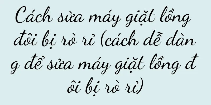 Cách sửa máy giặt lồng đôi bị rò rỉ (cách dễ dàng để sửa máy giặt lồng đôi bị rò rỉ)