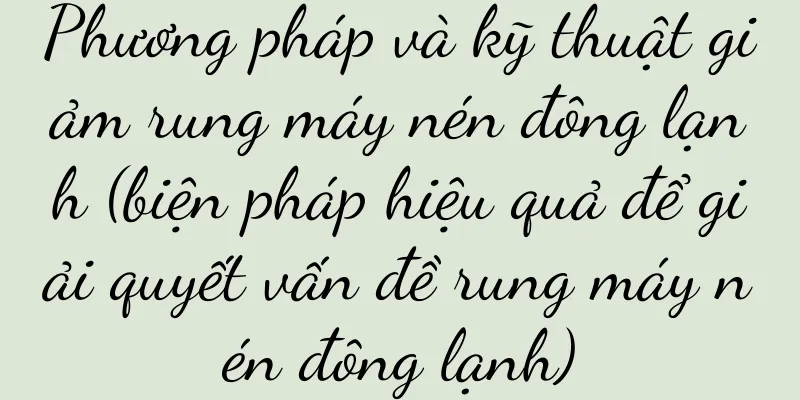 Phương pháp và kỹ thuật giảm rung máy nén đông lạnh (biện pháp hiệu quả để giải quyết vấn đề rung máy nén đông lạnh)