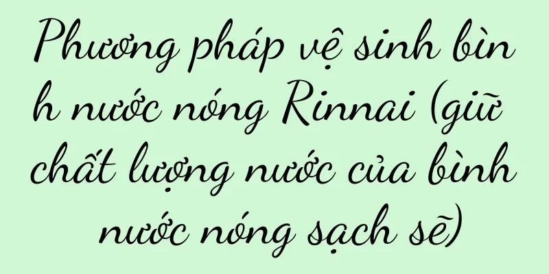 Phương pháp vệ sinh bình nước nóng Rinnai (giữ chất lượng nước của bình nước nóng sạch sẽ)