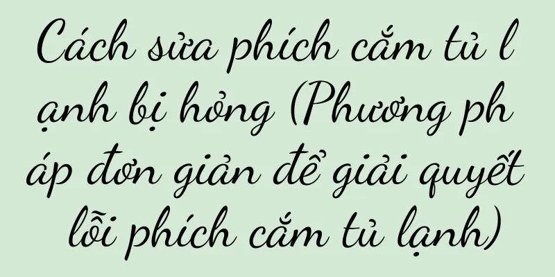 Cách sửa phích cắm tủ lạnh bị hỏng (Phương pháp đơn giản để giải quyết lỗi phích cắm tủ lạnh)