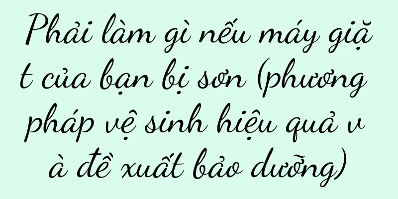 Phải làm gì nếu máy giặt của bạn bị sơn (phương pháp vệ sinh hiệu quả và đề xuất bảo dưỡng)