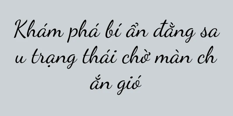 Khám phá bí ẩn đằng sau trạng thái chờ màn chắn gió