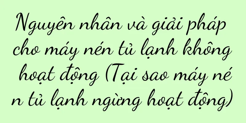 Nguyên nhân và giải pháp cho máy nén tủ lạnh không hoạt động (Tại sao máy nén tủ lạnh ngừng hoạt động)