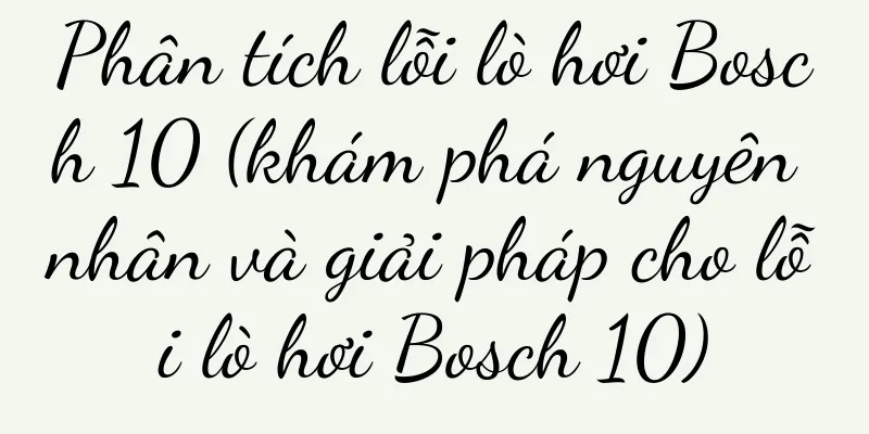 Phân tích lỗi lò hơi Bosch 10 (khám phá nguyên nhân và giải pháp cho lỗi lò hơi Bosch 10)