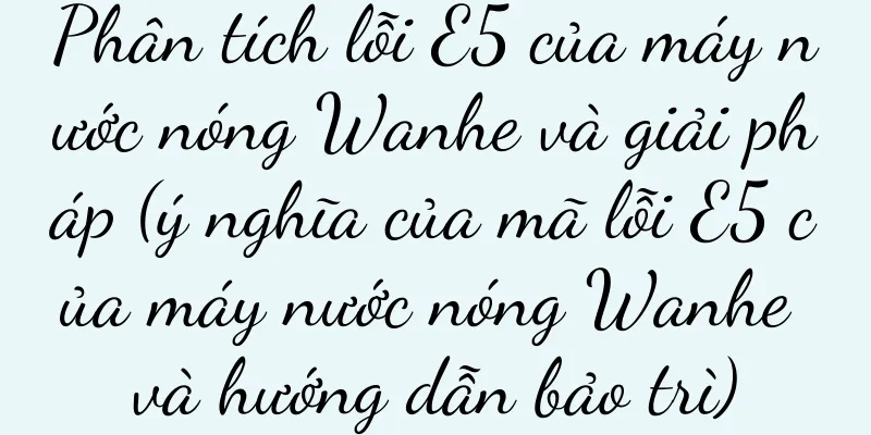 Phân tích lỗi E5 của máy nước nóng Wanhe và giải pháp (ý nghĩa của mã lỗi E5 của máy nước nóng Wanhe và hướng dẫn bảo trì)