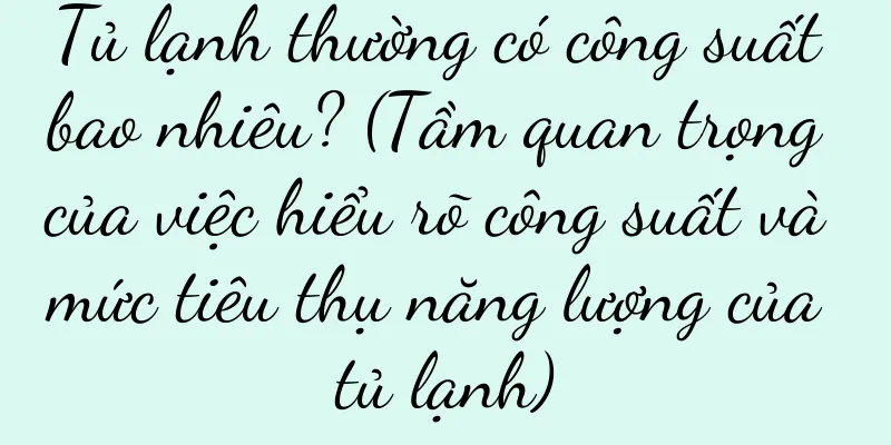 Tủ lạnh thường có công suất bao nhiêu? (Tầm quan trọng của việc hiểu rõ công suất và mức tiêu thụ năng lượng của tủ lạnh)