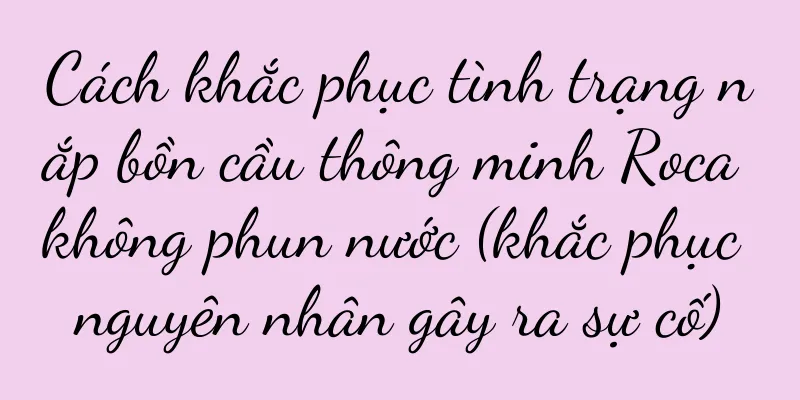 Cách khắc phục tình trạng nắp bồn cầu thông minh Roca không phun nước (khắc phục nguyên nhân gây ra sự cố)