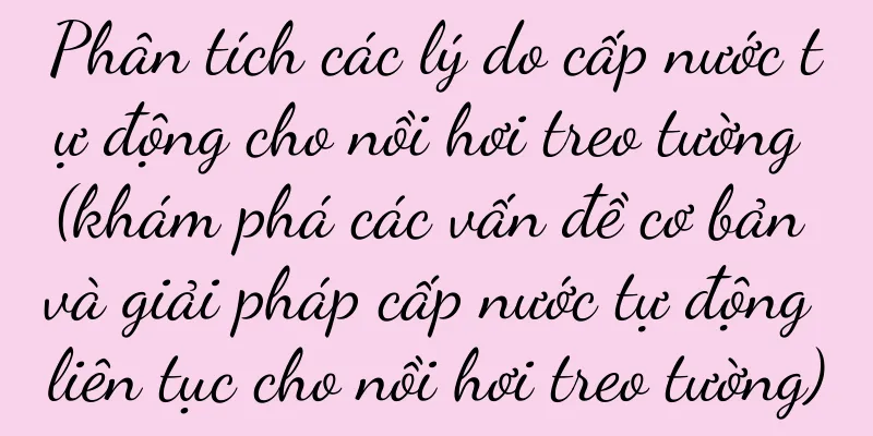Phân tích các lý do cấp nước tự động cho nồi hơi treo tường (khám phá các vấn đề cơ bản và giải pháp cấp nước tự động liên tục cho nồi hơi treo tường)