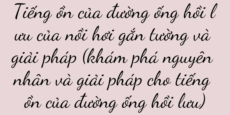 Tiếng ồn của đường ống hồi lưu của nồi hơi gắn tường và giải pháp (khám phá nguyên nhân và giải pháp cho tiếng ồn của đường ống hồi lưu)