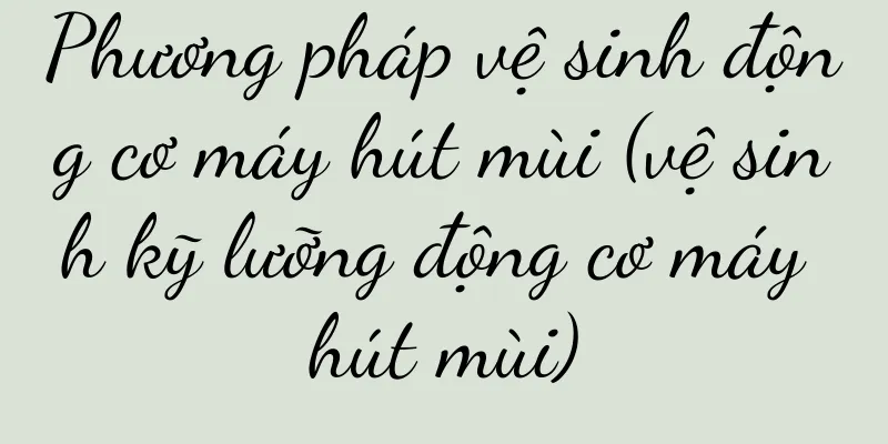Phương pháp vệ sinh động cơ máy hút mùi (vệ sinh kỹ lưỡng động cơ máy hút mùi)