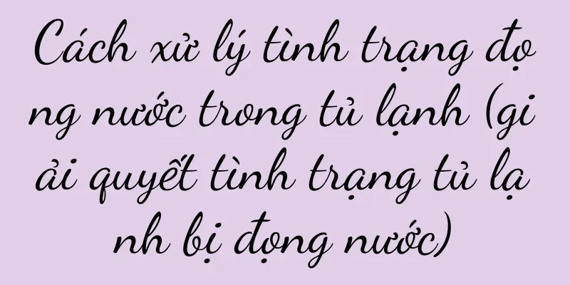 Cách xử lý tình trạng đọng nước trong tủ lạnh (giải quyết tình trạng tủ lạnh bị đọng nước)