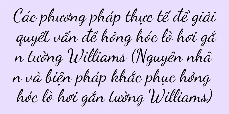 Các phương pháp thực tế để giải quyết vấn đề hỏng hóc lò hơi gắn tường Williams (Nguyên nhân và biện pháp khắc phục hỏng hóc lò hơi gắn tường Williams)