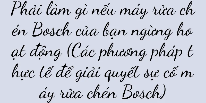 Phải làm gì nếu máy rửa chén Bosch của bạn ngừng hoạt động (Các phương pháp thực tế để giải quyết sự cố máy rửa chén Bosch)