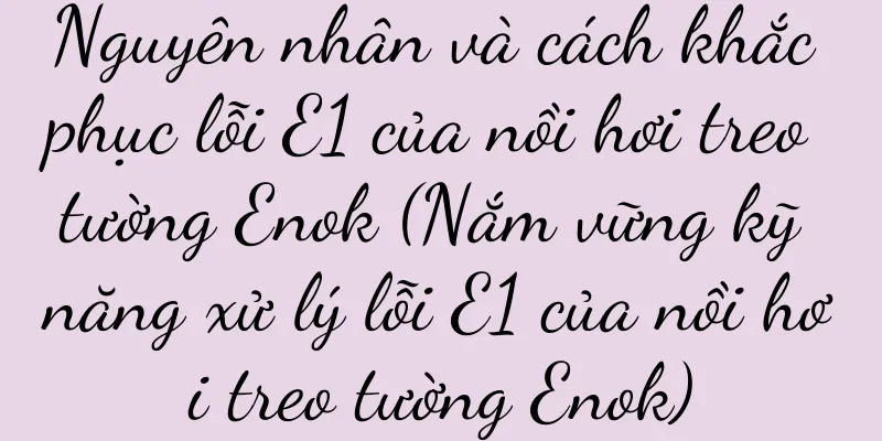 Nguyên nhân và cách khắc phục lỗi E1 của nồi hơi treo tường Enok (Nắm vững kỹ năng xử lý lỗi E1 của nồi hơi treo tường Enok)