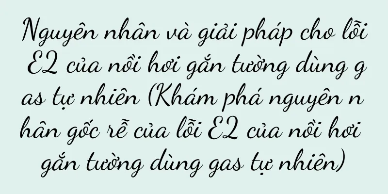 Nguyên nhân và giải pháp cho lỗi E2 của nồi hơi gắn tường dùng gas tự nhiên (Khám phá nguyên nhân gốc rễ của lỗi E2 của nồi hơi gắn tường dùng gas tự nhiên)