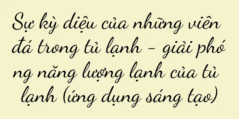 Sự kỳ diệu của những viên đá trong tủ lạnh - giải phóng năng lượng lạnh của tủ lạnh (ứng dụng sáng tạo)