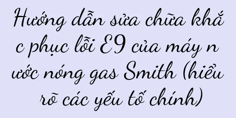 Hướng dẫn sửa chữa khắc phục lỗi E9 của máy nước nóng gas Smith (hiểu rõ các yếu tố chính)