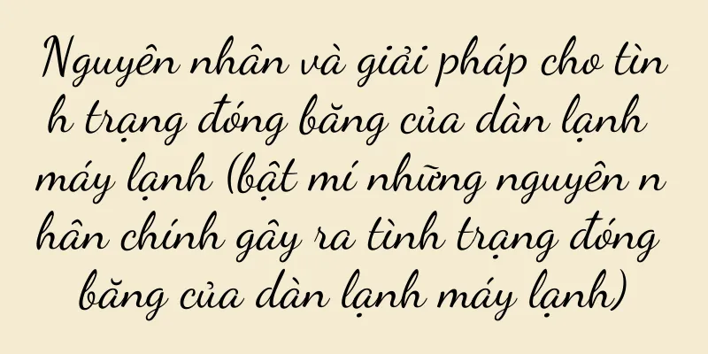 Nguyên nhân và giải pháp cho tình trạng đóng băng của dàn lạnh máy lạnh (bật mí những nguyên nhân chính gây ra tình trạng đóng băng của dàn lạnh máy lạnh)