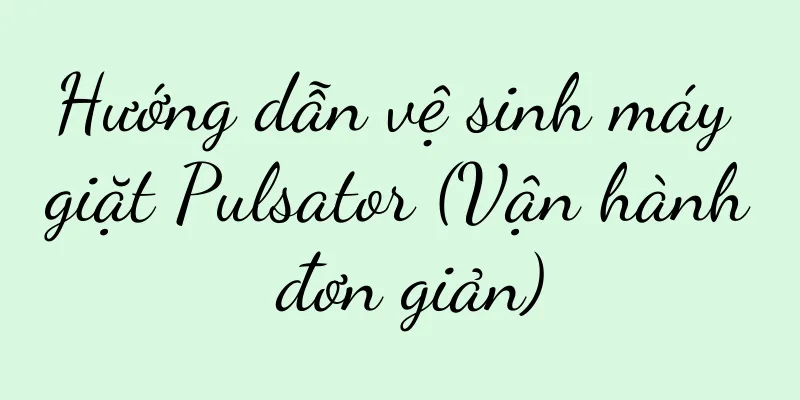 Hướng dẫn vệ sinh máy giặt Pulsator (Vận hành đơn giản)