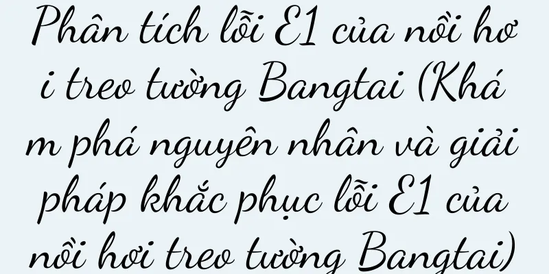 Phân tích lỗi E1 của nồi hơi treo tường Bangtai (Khám phá nguyên nhân và giải pháp khắc phục lỗi E1 của nồi hơi treo tường Bangtai)