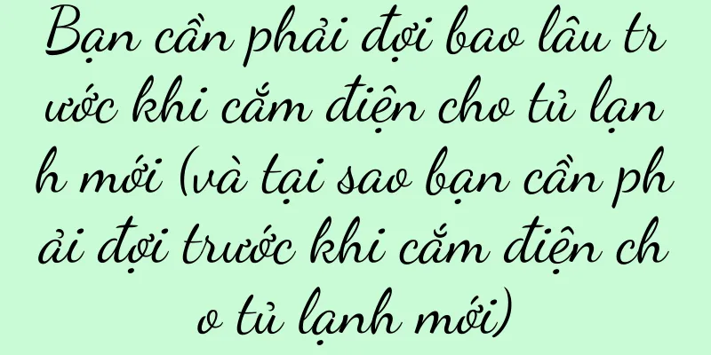 Bạn cần phải đợi bao lâu trước khi cắm điện cho tủ lạnh mới (và tại sao bạn cần phải đợi trước khi cắm điện cho tủ lạnh mới)