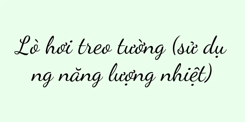 Lò hơi treo tường (sử dụng năng lượng nhiệt)
