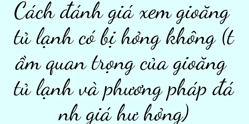 Cách đánh giá xem gioăng tủ lạnh có bị hỏng không (tầm quan trọng của gioăng tủ lạnh và phương pháp đánh giá hư hỏng)