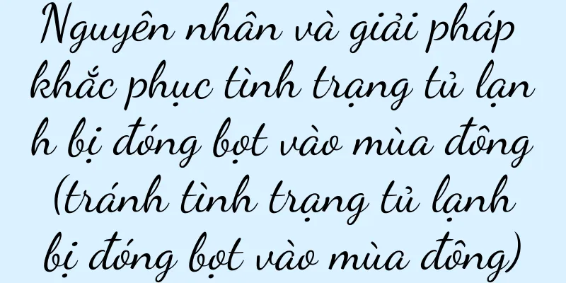 Nguyên nhân và giải pháp khắc phục tình trạng tủ lạnh bị đóng bọt vào mùa đông (tránh tình trạng tủ lạnh bị đóng bọt vào mùa đông)
