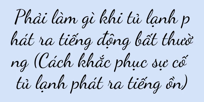 Phải làm gì khi tủ lạnh phát ra tiếng động bất thường (Cách khắc phục sự cố tủ lạnh phát ra tiếng ồn)