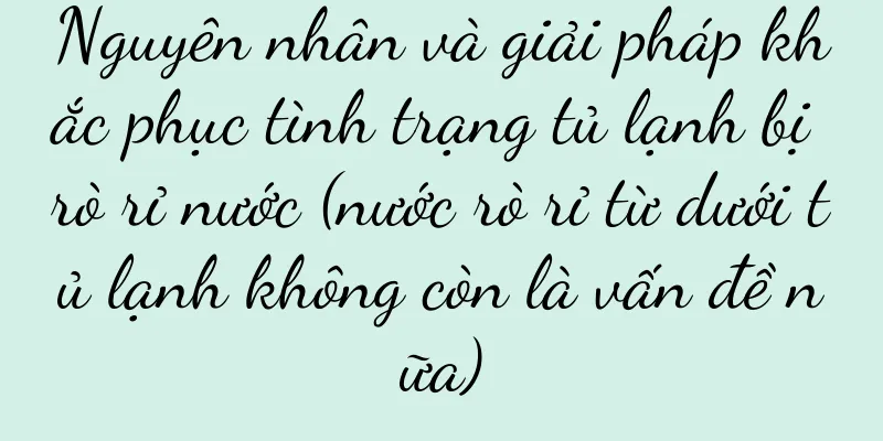 Nguyên nhân và giải pháp khắc phục tình trạng tủ lạnh bị rò rỉ nước (nước rò rỉ từ dưới tủ lạnh không còn là vấn đề nữa)