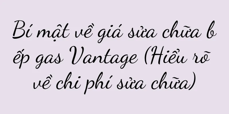 Bí mật về giá sửa chữa bếp gas Vantage (Hiểu rõ về chi phí sửa chữa)