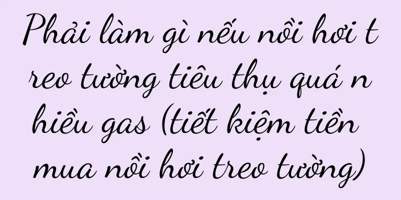 Phải làm gì nếu nồi hơi treo tường tiêu thụ quá nhiều gas (tiết kiệm tiền mua nồi hơi treo tường)