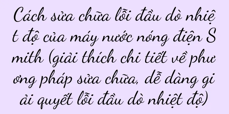Cách sửa chữa lỗi đầu dò nhiệt độ của máy nước nóng điện Smith (giải thích chi tiết về phương pháp sửa chữa, dễ dàng giải quyết lỗi đầu dò nhiệt độ)