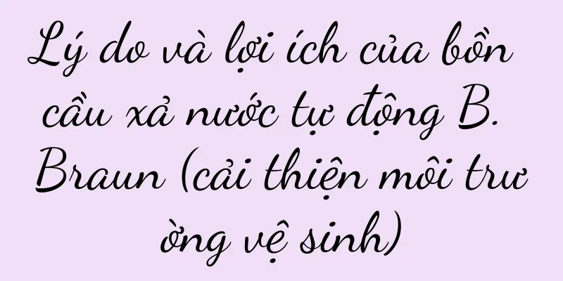 Lý do và lợi ích của bồn cầu xả nước tự động B. Braun (cải thiện môi trường vệ sinh)