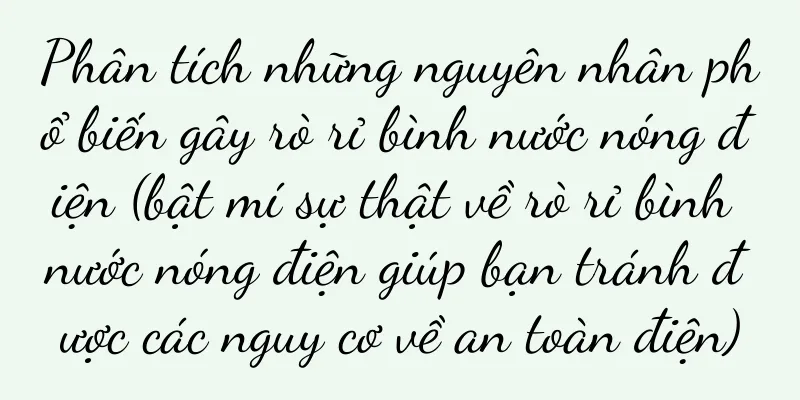 Phân tích những nguyên nhân phổ biến gây rò rỉ bình nước nóng điện (bật mí sự thật về rò rỉ bình nước nóng điện giúp bạn tránh được các nguy cơ về an toàn điện)