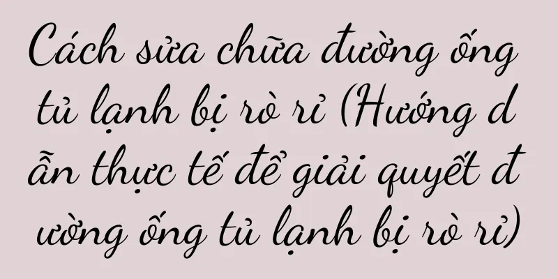 Cách sửa chữa đường ống tủ lạnh bị rò rỉ (Hướng dẫn thực tế để giải quyết đường ống tủ lạnh bị rò rỉ)