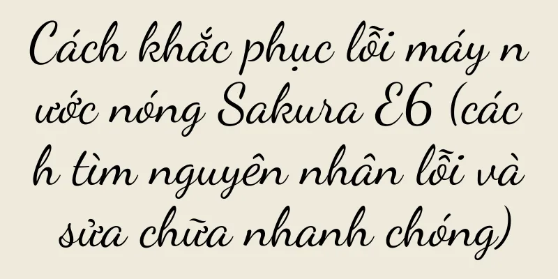Cách khắc phục lỗi máy nước nóng Sakura E6 (cách tìm nguyên nhân lỗi và sửa chữa nhanh chóng)