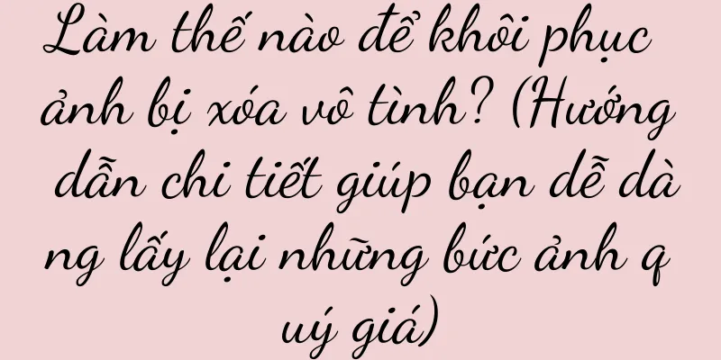 Làm thế nào để khôi phục ảnh bị xóa vô tình? (Hướng dẫn chi tiết giúp bạn dễ dàng lấy lại những bức ảnh quý giá)