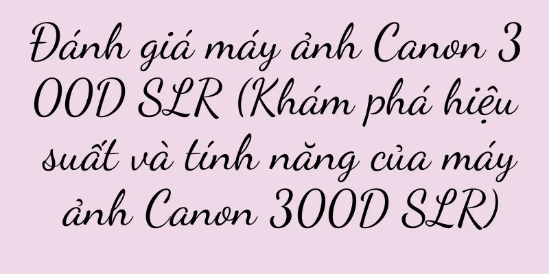 Đánh giá máy ảnh Canon 300D SLR (Khám phá hiệu suất và tính năng của máy ảnh Canon 300D SLR)
