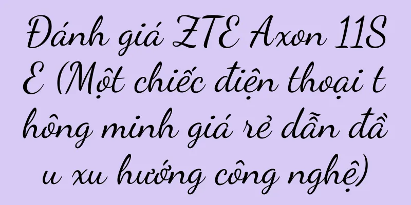 Đánh giá ZTE Axon 11SE (Một chiếc điện thoại thông minh giá rẻ dẫn đầu xu hướng công nghệ)