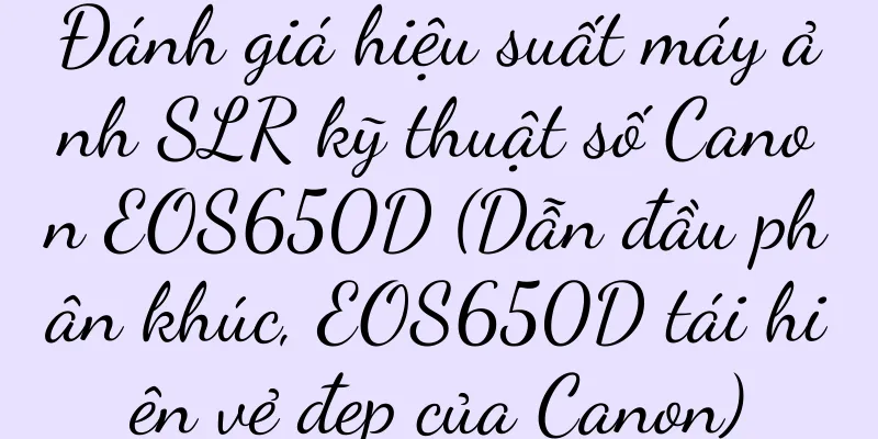 Đánh giá hiệu suất máy ảnh SLR kỹ thuật số Canon EOS650D (Dẫn đầu phân khúc, EOS650D tái hiện vẻ đẹp của Canon)