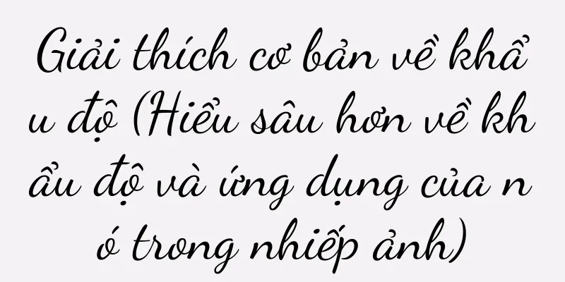 Giải thích cơ bản về khẩu độ (Hiểu sâu hơn về khẩu độ và ứng dụng của nó trong nhiếp ảnh)