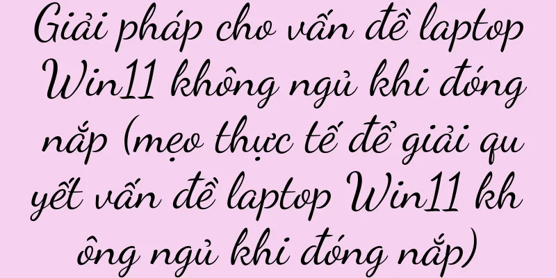 Giải pháp cho vấn đề laptop Win11 không ngủ khi đóng nắp (mẹo thực tế để giải quyết vấn đề laptop Win11 không ngủ khi đóng nắp)