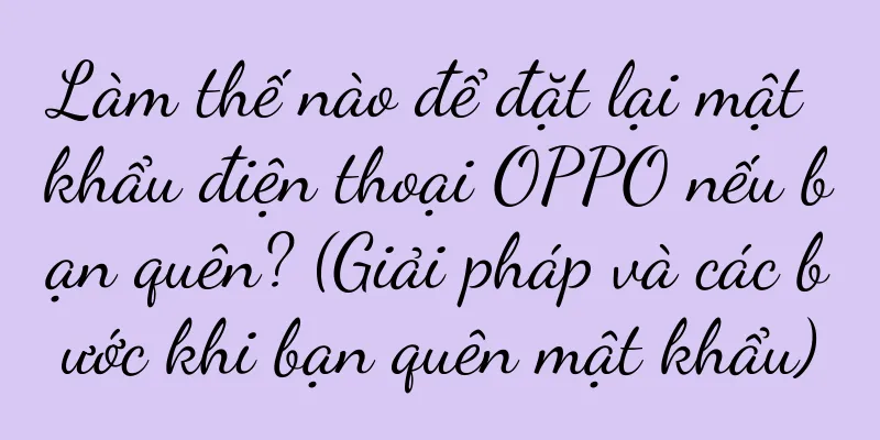 Làm thế nào để đặt lại mật khẩu điện thoại OPPO nếu bạn quên? (Giải pháp và các bước khi bạn quên mật khẩu)