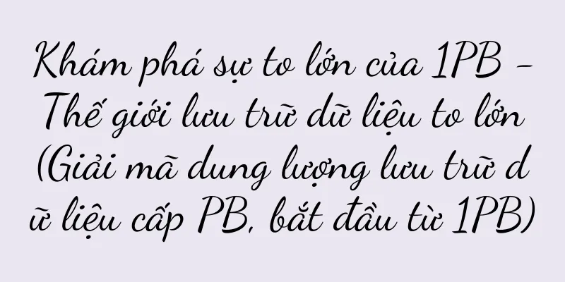 Khám phá sự to lớn của 1PB - Thế giới lưu trữ dữ liệu to lớn (Giải mã dung lượng lưu trữ dữ liệu cấp PB, bắt đầu từ 1PB)